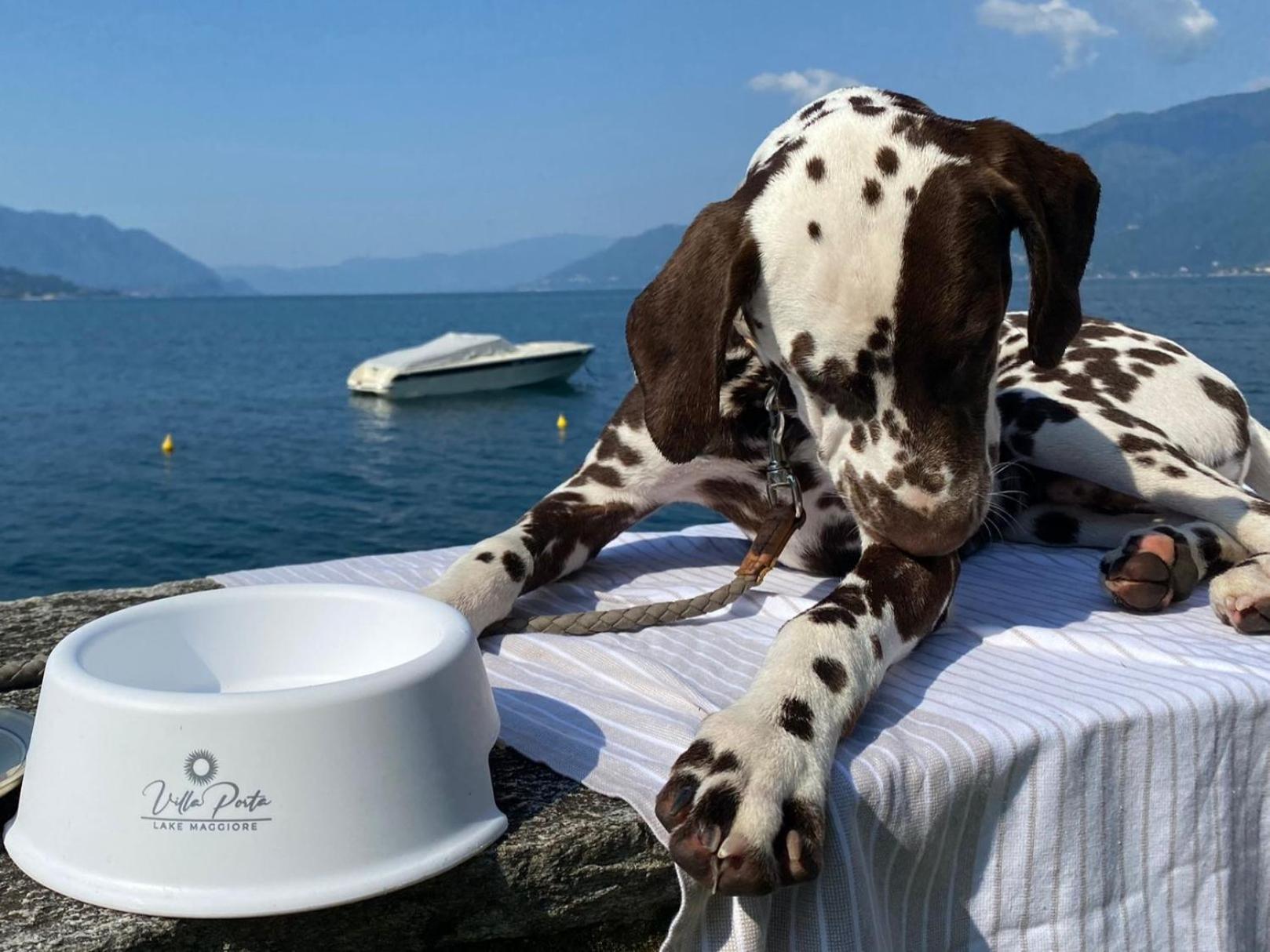 Relais Villa Porta Luino Zewnętrze zdjęcie